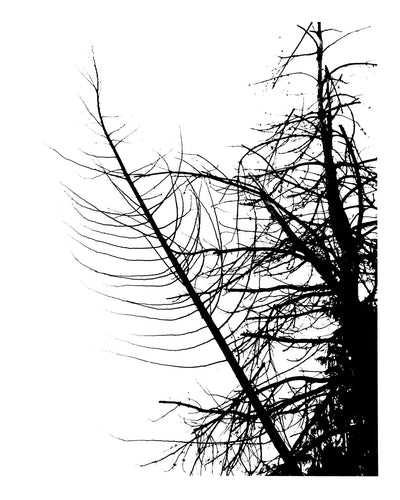 Ink Black Lines