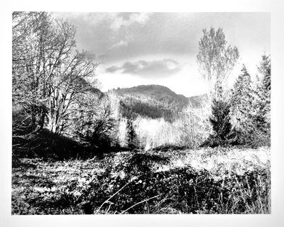 The Wooded Valley